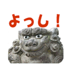 こまいぬランド Vol.1（個別スタンプ：16）