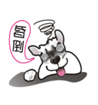 Bright Bright Dog-KaKa（個別スタンプ：2）