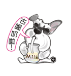 Bright Bright Dog-KaKa（個別スタンプ：4）