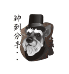 Bright Bright Dog-KaKa（個別スタンプ：16）