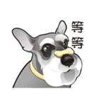 Bright Bright Dog-KaKa（個別スタンプ：19）