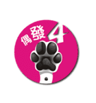 Bright Bright Dog-KaKa（個別スタンプ：33）
