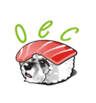 Bright Bright Dog-KaKa（個別スタンプ：37）