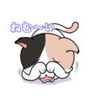みけねこ のこぴん（個別スタンプ：3）