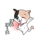 みけねこ のこぴん（個別スタンプ：5）