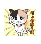 みけねこ のこぴん（個別スタンプ：6）