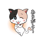 みけねこ のこぴん（個別スタンプ：8）