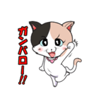 みけねこ のこぴん（個別スタンプ：10）