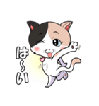 みけねこ のこぴん（個別スタンプ：18）