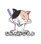 みけねこ のこぴん（個別スタンプ：23）