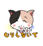 みけねこ のこぴん（個別スタンプ：30）