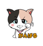 みけねこ のこぴん（個別スタンプ：34）