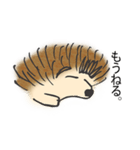 甘え上手なハリネズミくん[日常編]（個別スタンプ：3）