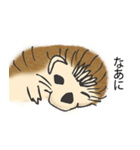 甘え上手なハリネズミくん[日常編]（個別スタンプ：4）