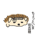 甘え上手なハリネズミくん[日常編]（個別スタンプ：10）