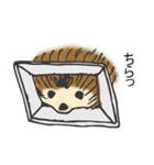 甘え上手なハリネズミくん[日常編]（個別スタンプ：11）