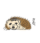 甘え上手なハリネズミくん[日常編]（個別スタンプ：16）