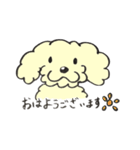 犬のまろんちゃん（個別スタンプ：1）