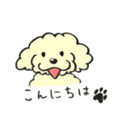 犬のまろんちゃん（個別スタンプ：2）
