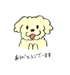 犬のまろんちゃん（個別スタンプ：5）