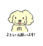 犬のまろんちゃん（個別スタンプ：10）