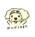 犬のまろんちゃん（個別スタンプ：13）
