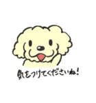 犬のまろんちゃん（個別スタンプ：16）