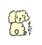 犬のまろんちゃん（個別スタンプ：22）