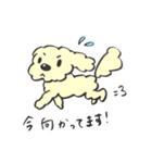 犬のまろんちゃん（個別スタンプ：31）
