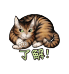 猫と会話するスタンプ（個別スタンプ：4）