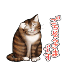 猫と会話するスタンプ（個別スタンプ：8）