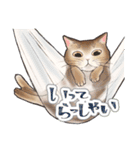 猫と会話するスタンプ（個別スタンプ：15）