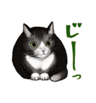 猫と会話するスタンプ（個別スタンプ：17）
