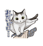 猫と会話するスタンプ（個別スタンプ：18）