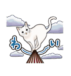 猫と会話するスタンプ（個別スタンプ：20）
