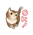猫と会話するスタンプ（個別スタンプ：22）