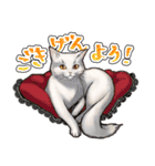 猫と会話するスタンプ（個別スタンプ：24）