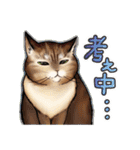 猫と会話するスタンプ（個別スタンプ：26）