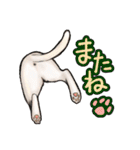 猫と会話するスタンプ（個別スタンプ：28）