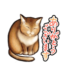 猫と会話するスタンプ（個別スタンプ：33）