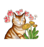 猫と会話するスタンプ（個別スタンプ：40）