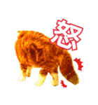 きなことあんこ2（個別スタンプ：18）