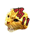 きなことあんこ2（個別スタンプ：24）