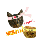 きなことあんこ2（個別スタンプ：36）