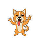 Petit Corgi（個別スタンプ：1）