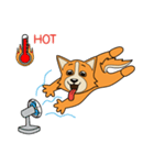 Petit Corgi（個別スタンプ：7）