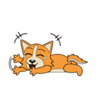 Petit Corgi（個別スタンプ：16）