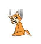 Petit Corgi（個別スタンプ：22）
