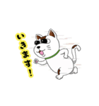 オリにゃん その2（個別スタンプ：1）