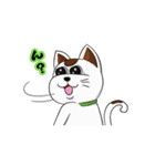 オリにゃん その2（個別スタンプ：4）